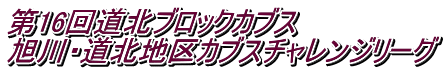 ��16�񓹖k�u���b�N�J�u�X�@ ����E���k�n��J�u�X�`�������W���[�O
