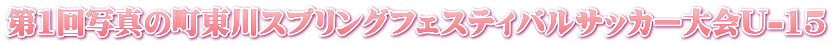 ��1��ʐ^�̒�����X�v�����O�t�F�X�e�B�o���T�b�J�[���U-15